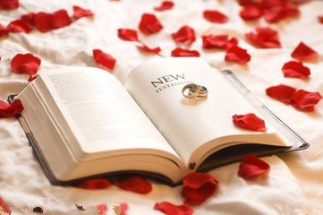 书籍翻译 书籍翻译