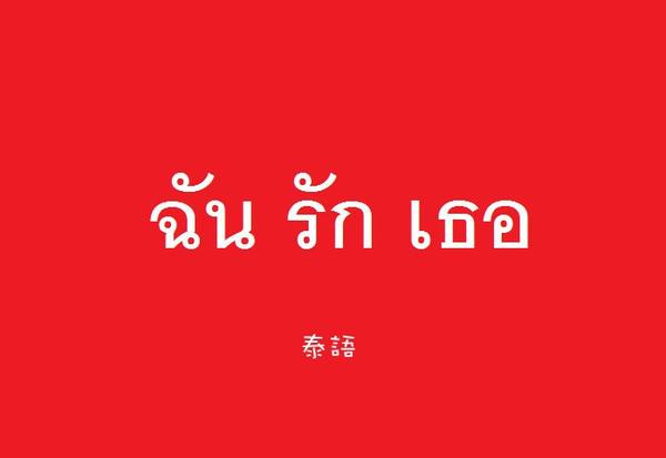 怎样寻找好一点的泰语翻译机构！