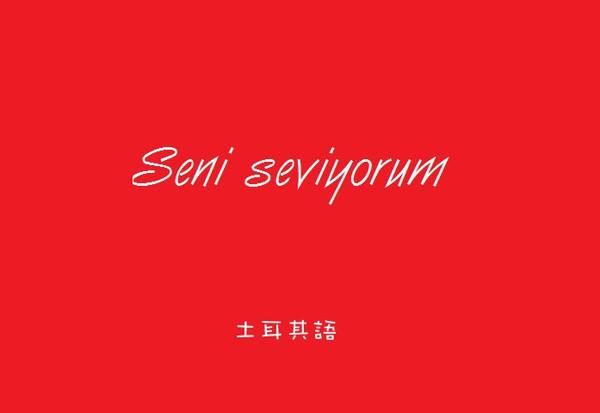 专业土耳其语翻译公司具备的特点